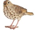 Avis client pour Oiseau décoratif extérieur en polyrésine : 5 sur 5