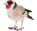 Avis client pour Oiseau décoratif extérieur en polyrésine : 5 sur 5