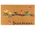 Avis client pour Paillasson coco intérieur extérieur 75 x 45 cm : 5 sur 5