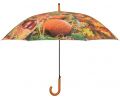 Avis client pour Grand parapluie bois et métal toile polyester : 5 sur 5