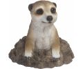 Avis client pour Suricate dans trou en résine 13 cm : 5 sur 5