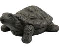 Avis client pour Tortue décorative extérieure en magnésie : 5 sur 5