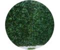 Avis client pour Treillis en bois de saule et feuilles de vigne vierge artificielles : 5 sur 5