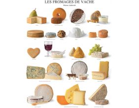 Affiche Les fromages de vache Maison Androuët 40x50 cm