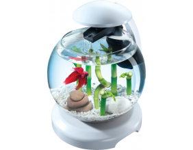 Aquarium Tetra cascade globe 6.8L (Blanc)