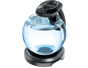 Aquarium Tetra duo waterfall globe
