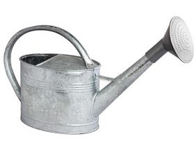 Arrosoir acier galvanisé avec pomme (6 litres)