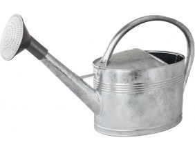 Arrosoir acier galvanisé avec pomme (10 litres)