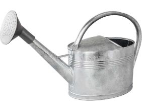 Arrosoir acier galvanisé avec pomme (10 litres)