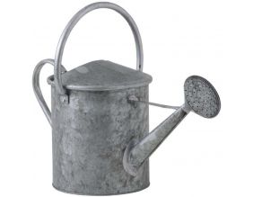Arrosoir En Zinc 10 Litres