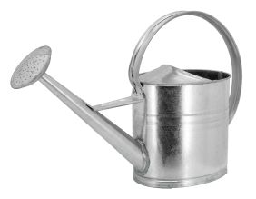 Arrosoir en zinc 10 litres