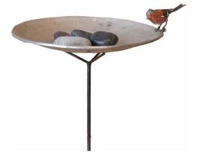 Bain sur pied et galet avec un oiseaux