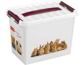 Boite Q-line motif animaux (9 litres)