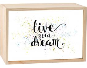 Boite lumineuse LED 30x20 cm (Live your dream)