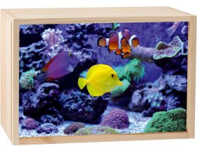 Boite lumineuse LED 30x20 cm (Aquarium)