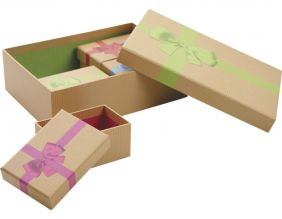 Boites de Noel avec noeud en carton (Lot de 5) (Beige bandeau vert)