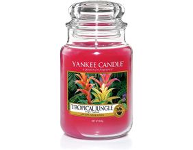 Bougie jarre en verre Jungle tropical (Grand modèle)