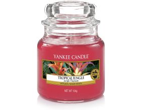 Bougie jarre en verre Jungle tropical (Petit modèle)