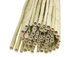 Canisse en bambou (1,5 x 1,8 m)