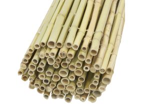Canisse en bambou (1.8 x 1 m)