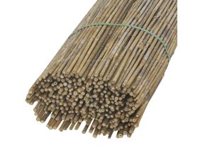 Canisse en petit bambou (1 x 5 m)