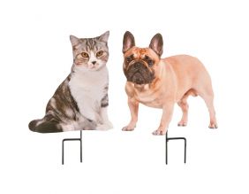 Chat et chien sur pique (Lot de 2)