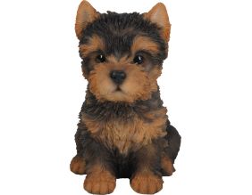 Chiot yorkshire assis en résine 16 cm