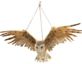Chouette hulotte  ailes ouvertes en résine