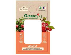 Coccinnelles anti-pucerons Coccifly (boîte de 20 adultes)