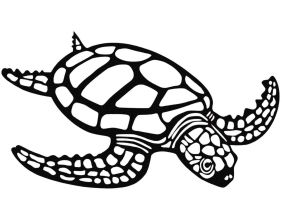 Décoration murale en métal Animal (Tortue)
