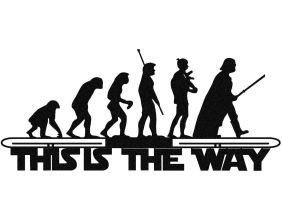 Decoration murale en métal Citation (This is the way - Evolution)