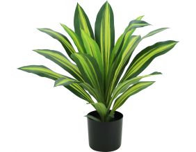 Dracena artificiel 22 feuilles hauteur 50 cm