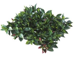 Feuillage artificiel 1 m x 1 m (Photinia)