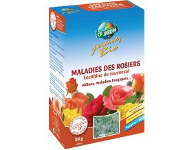 Fongicide naturel contre les maladies des rosiers