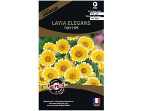 Graines de fleurs premium Layia elegans platyglossa