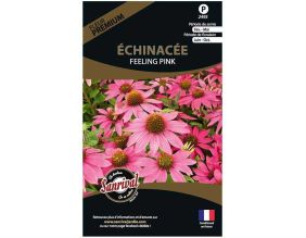 Graines de fleurs premium échinacée Feeling pink annuelle