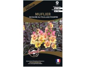 Graines de fleurs premium muflier bicolore feuillage pourpre