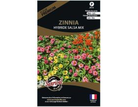 Graines de fleurs premium zinnia hybride salsa mix