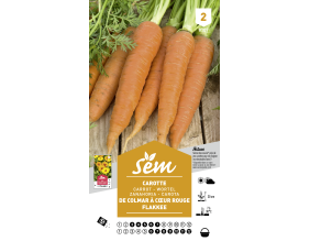 Graines potagères carotte (Flakkee)