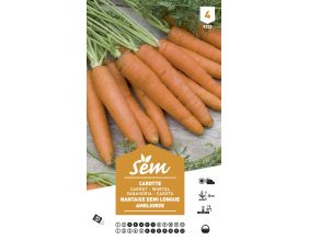 Graines potagères carotte (Demi-longue Nant Amel)