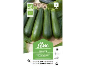 Graines potagères courgette verte noire maraichère