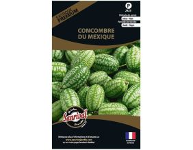 Graines potagères premium Concombre (Du Mexique)