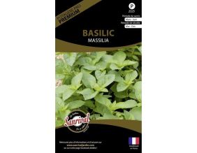 Graines potagères premium basilic Massilia