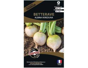 Graines potagères premium betterave (Albina Vereduna)