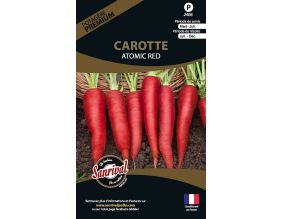 Graines potagères premium carotte (Atomic red)