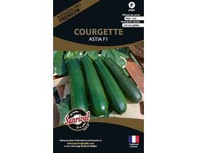 Graines potagères premium courgette Astia