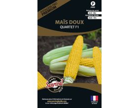 Graines potagères premium maïs (Doux)