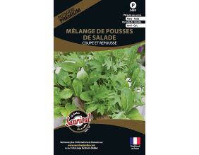 Graines potagères premium mélange de pousses de salade (Coupe et repousse)