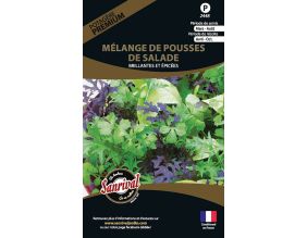 Graines potagères premium mélange de pousses de salade (Brillantes et épicées)