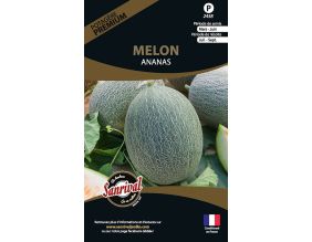 Graines potagères premium melon (Ananas)